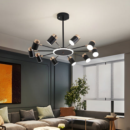 Contemporary Black & Gold Ceiling Light with LED Bulbs for Elegant Home Décor